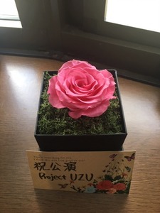 image1.jpeg